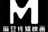 媒豆传媒,引领新媒体潮流的传媒巨头